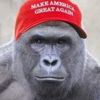Eric's Avatar