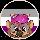 Otterboi's Avatar
